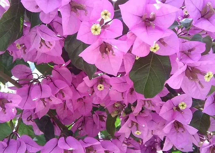 Appartement Mateljak